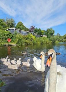 Moffat Ski Chalet | Summit Rest