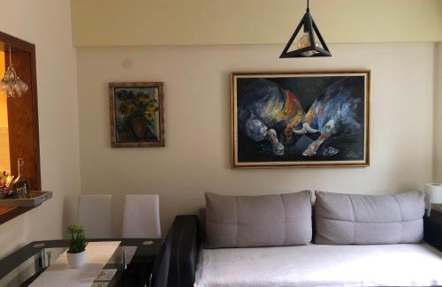 Kopaonik Apartment | Sunčani Apartman