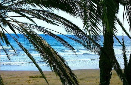 Playa del Aguila Apartment | Sun Club Resort