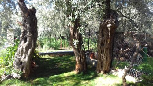 Skala Sotiros House | SUN GARDEN