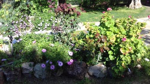 Skala Sotiros House | SUN GARDEN