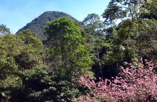 Petropolis Apartment | Sun Guardian Guest