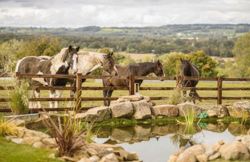 Constable Burton Resort | Sun Hill Lodges