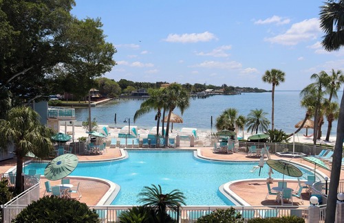 Pinellas Point House | Sun-Kissed Serenity: Private Beach and Onsite Pool, Balcony, Pets Allowed