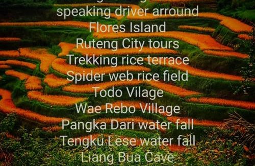 Ruteng House | Sun Rice Homestay