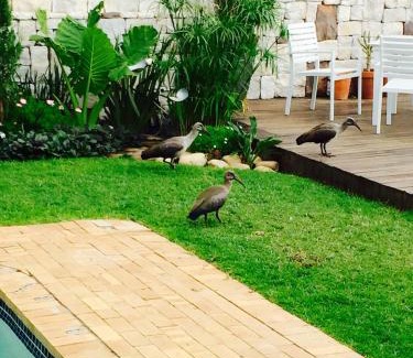 Green Point Villa | Sun&Sea Villa