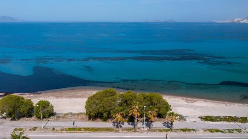 Lambi Apartment | Sun & Waves Beachfront Suite