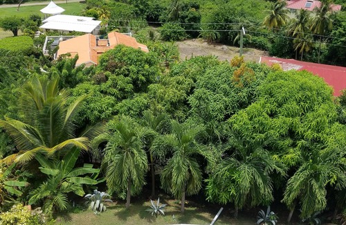 Bonne Terre Apartment | Sun West Villa, BonneVue - Sleeps 2 with Shared Pool and Caribbean View