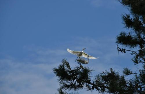 Sedgefield House | sunbird cottage