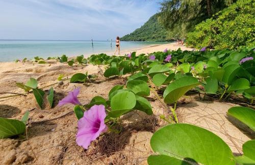 Koh Rong Sanloem Resort | SunBoo Beach Bungalows