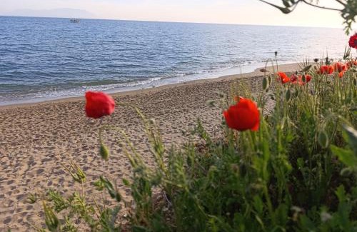 Nea Khili Apartment | Sunflower by the Sea, Alexandroupolis