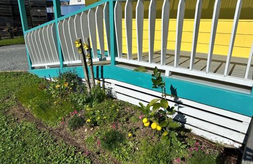 Kapiti Island House | Sunflower Cottage