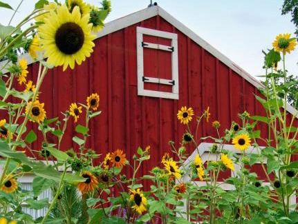Moab Bed & Breakfast | Sunflower Hill Inn