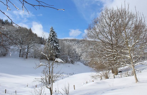 Saint-Sauves-d'Auvergne Cabin | Sunny 2 to 7-seater yurt, breathtaking view