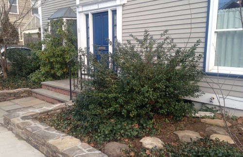 West Cambridge House | Sunny 3BR house 10 min walk from Harvard Square