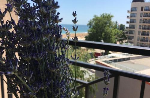 Golden Sands Apartment | Sunny apartment Lavanda Golden Sands 1st line