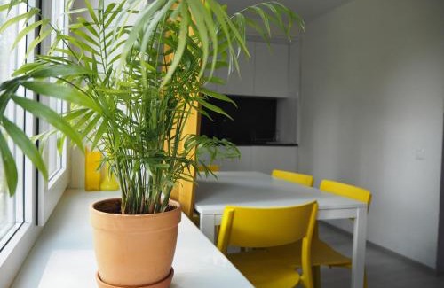 Visaginas Apartment | Sunny apartment with lake and forest view