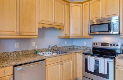 Springfield Apartment | Sunny & bright - cute 1 BR apt in historic SPR