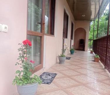 Bagvdanari House | Sunny