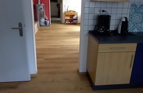 Rodalben Apartment | Sunny holiday Tawny Owl in the Palatinate Forest