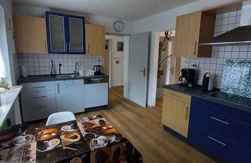 Rodalben Apartment | Sunny holiday Tawny Owl in the Palatinate Forest