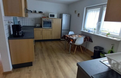 Rodalben Apartment | Sunny holiday Tawny Owl in the Palatinate Forest