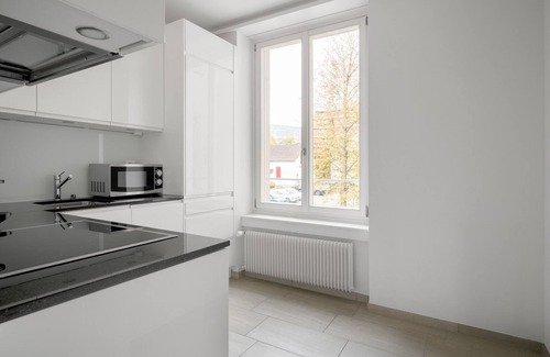 Horgen District Apartment | Sunny Horgen 2.5 Room w/Storage, 3 min to Market, by Blueground
