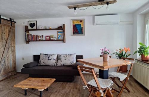 Spodnja Polskava Apartment | Sunny Karla apartment Dramlje