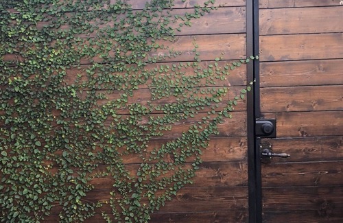 Los Feliz House | Sunny Silverlake Bungalow