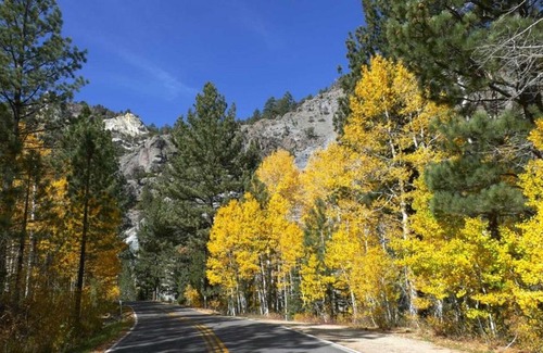 Bear Valley Apartment | Sunny, Spacious & Pet Friendly - Creekside #39