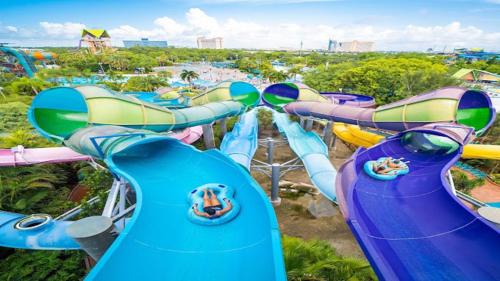 Wedgefield House | Sunny Stay Orlando Queen Room 4 with Shared Bath