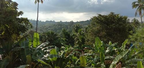Port Blair Apartment | Sunrise Home Stay