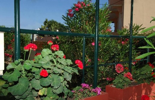 Agia Ermioni Apartment | Sunrise Hotel