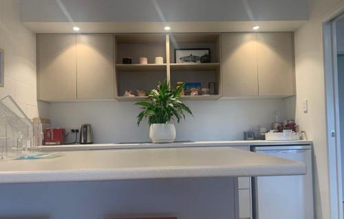 Tairua Bed & Breakfast | Sunrise on Main