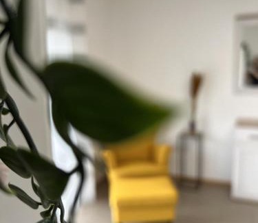Urbar Apartment | Sunset Apartment mit Rheinblick in Urbar