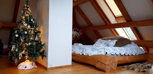 Laza House | Sunset House
