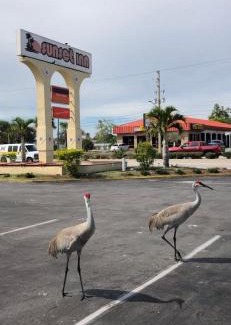 Fort Pierce Hotel | Sunset Inn- Fort Pierce, FL