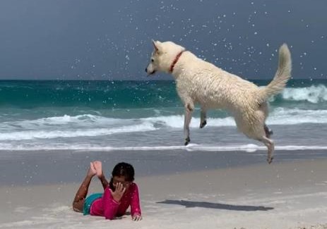 Arraial do Cabo House | Sunset Suítes Arraial