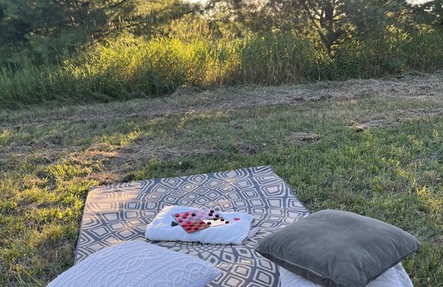 Sault Ste. Marie RV Rental | Sunset Suites 906: Cozy 200 square foot bell tent. Pet friendly. Off the grid