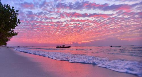 Pulau Silabok Hotel | Sunset Surfing Villas Mentawai