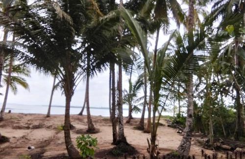 Pulau Masokut House | sunsetlodge Mentawai
