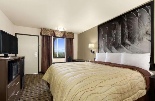 Fort Worth Hotel | Super 8 by Wyndham Fort Worth TX