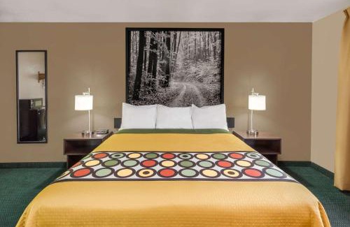 Ionia Hotel | Super 8 by Wyndham Ionia MI