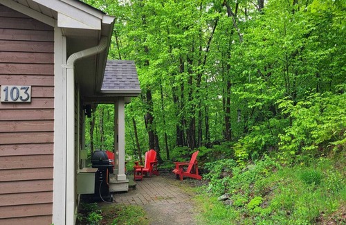 Lake of Bays Cottage | Super Luxury Cottage With Superb Amenities