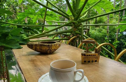 Dibrugarh House | Super luxury Gold Room with private pool at Homestay by the tea garden Dibrugarh