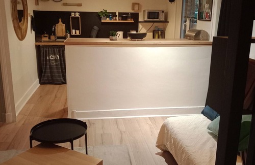 Quartier de France Apartment | Super studio on garden level