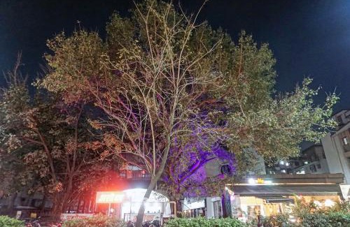 Pimpri Colony Hotel | Super Townhouse OAK Gharonda Residency Near Sant Tukaram Nagar Metro Station