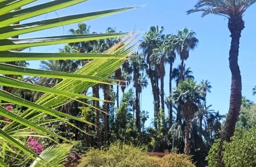 Majorelle Apartment | Superb Apt ! Exceptional View of Majorelle's Gardens, Yves Saint Laurent Street