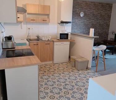 Saint-Georges-de-Mons Apartment | Superbe appartement avec vue sur le Puy de Dôme