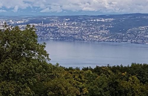 Thollon-les-Memises Apartment | SUPERBE APPARTEMENT T2 3 ETOILES 40m2 PIED DES PISTES VUE SUR LE LAC